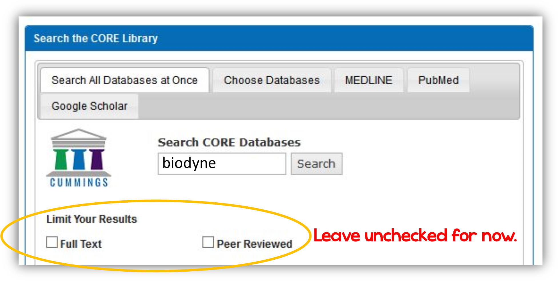 Type The Word Biodyne Into The Search Box - Text (1963x999), Png Download