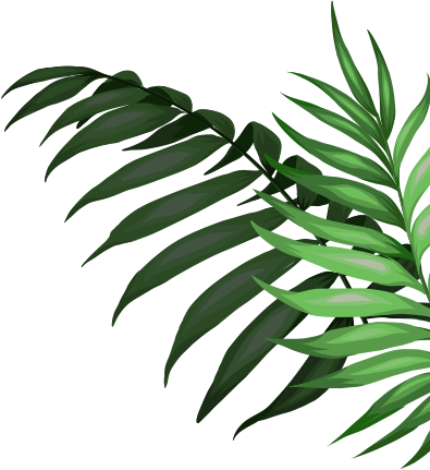 Leaves - Walter Interactive (395x431), Png Download