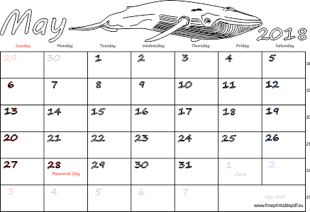 May 2018 Calendar Template May 2018 Calendar Printable - Calendar Luna Mai 2018 (437x300), Png Download