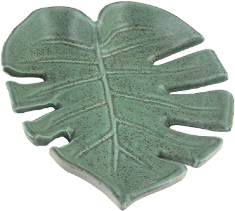 Ceramic Plate Monstera Leaf - Swiss Cheese Plant (500x500), Png Download