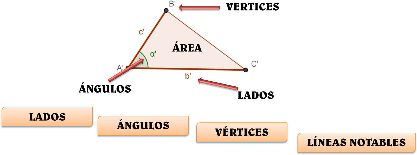 Elementos - Elementos De Un Triangulo (1462x568), Png Download