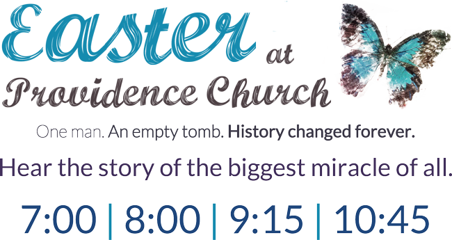 Stories-doctor Who Canvas Print - Small By Deadlydryads (650x345), Png Download