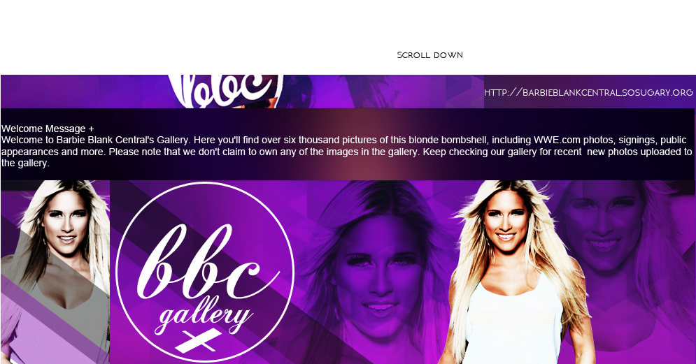 Kelly Kelly (995x666), Png Download