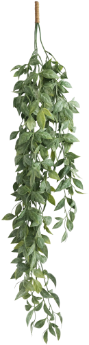 White Green Vine Hanging 88cm - White (500x500), Png Download