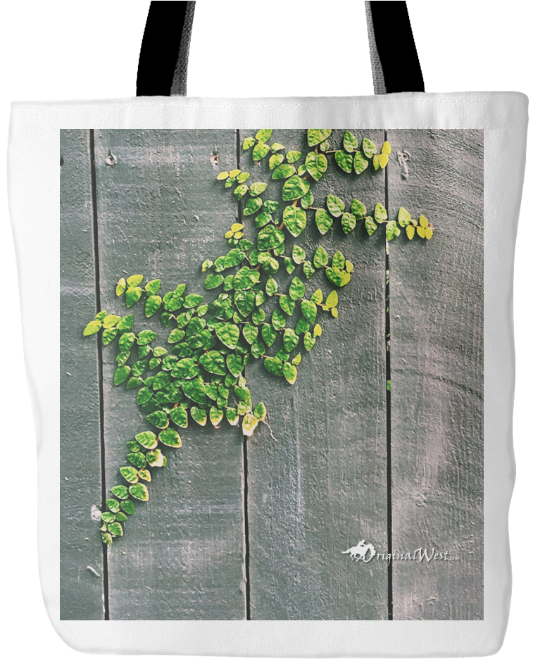 Green Vine - Tote Bag - Minimalist Tree Photography (1024x1024), Png Download