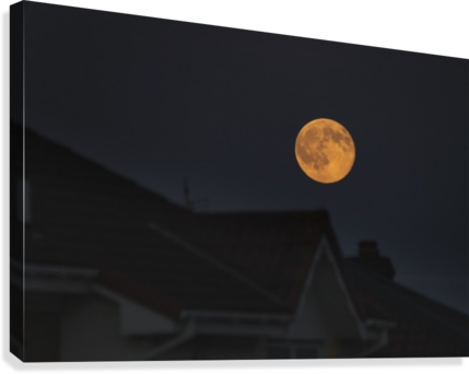 Full Harvest Moon Glowing In The Night Sky Over Houses (429x342), Png Download