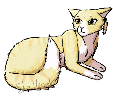 Owls Shave Their Heads - Kitten (462x361), Png Download