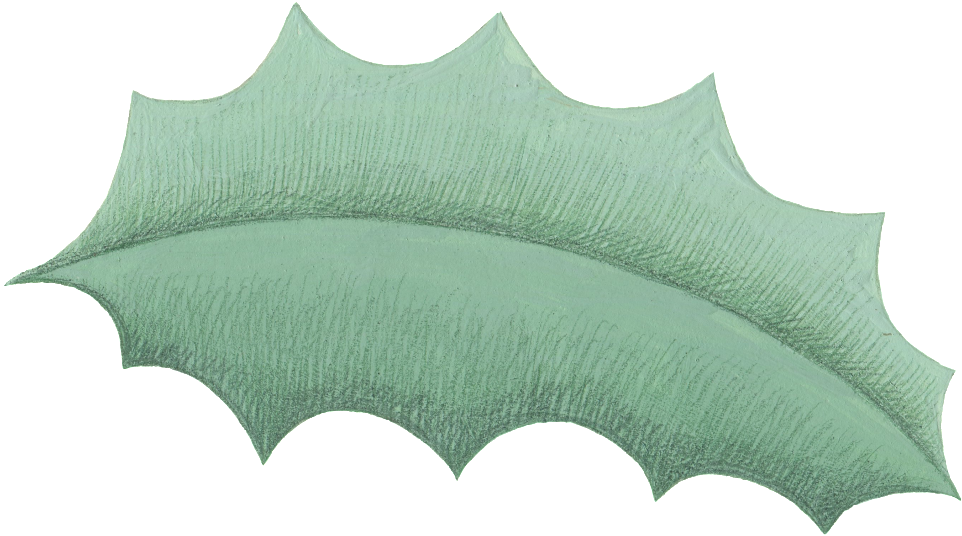 Cartoon Leaf Png Images - Portable Network Graphics (1024x622), Png Download