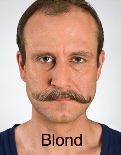 Beard Chin (500x500), Png Download