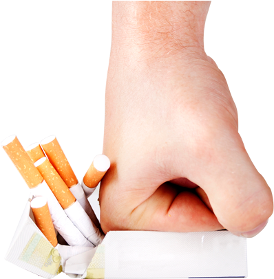 Nosso Blog - Paper (571x441), Png Download