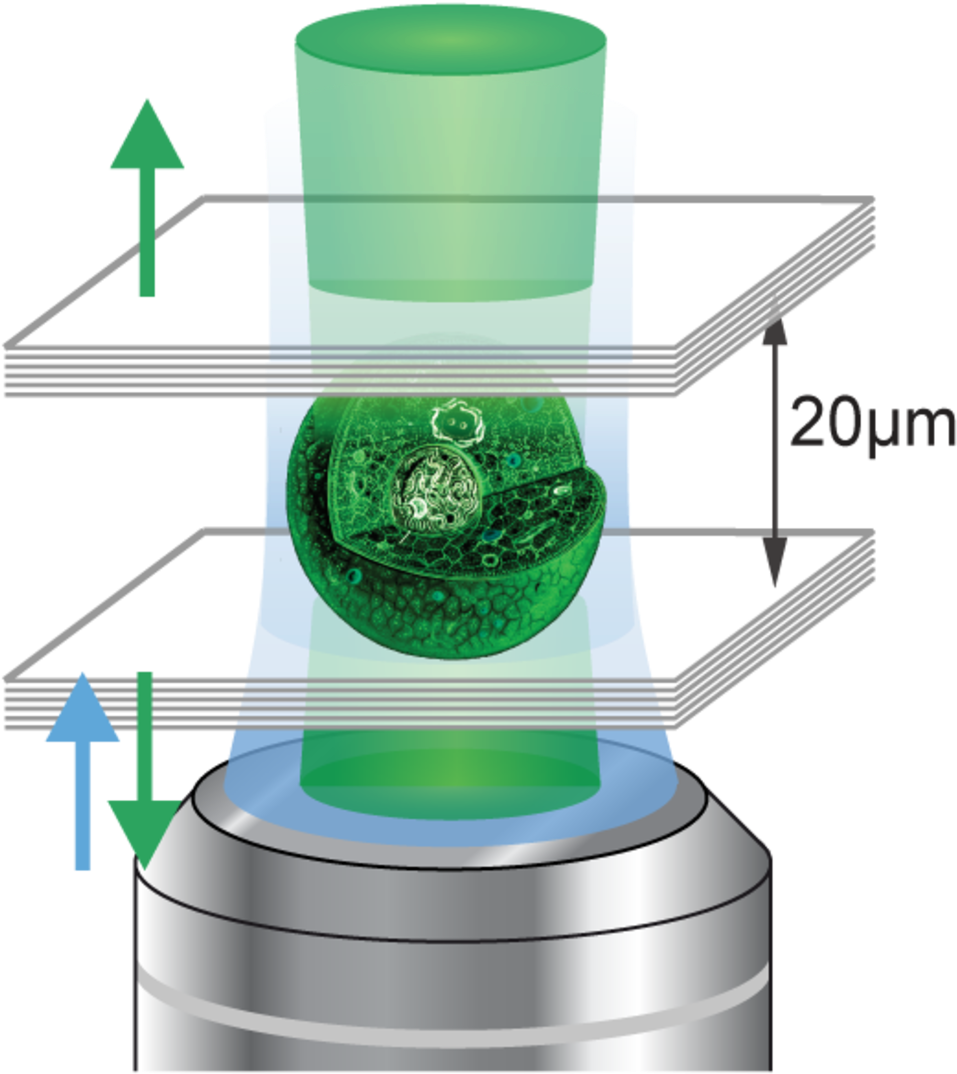 Living Laser Schematic - Laser Quimico (1000x1118), Png Download