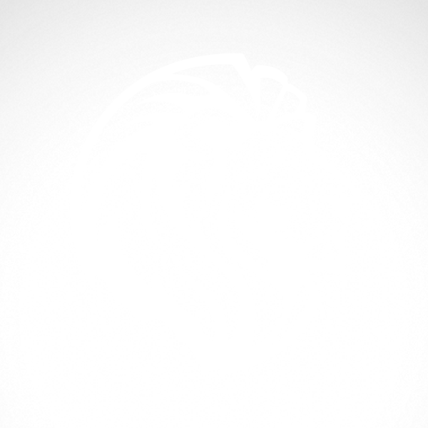 Simple Lion Head - Simple Lion Head Drawing (600x600), Png Download