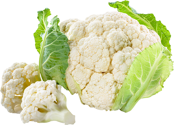 Cauliflower Transparent - Cauliflower Half Free Image No Copyright (600x430), Png Download