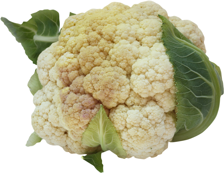 Cauliflower Png Image - Cauliflower Png (1024x778), Png Download
