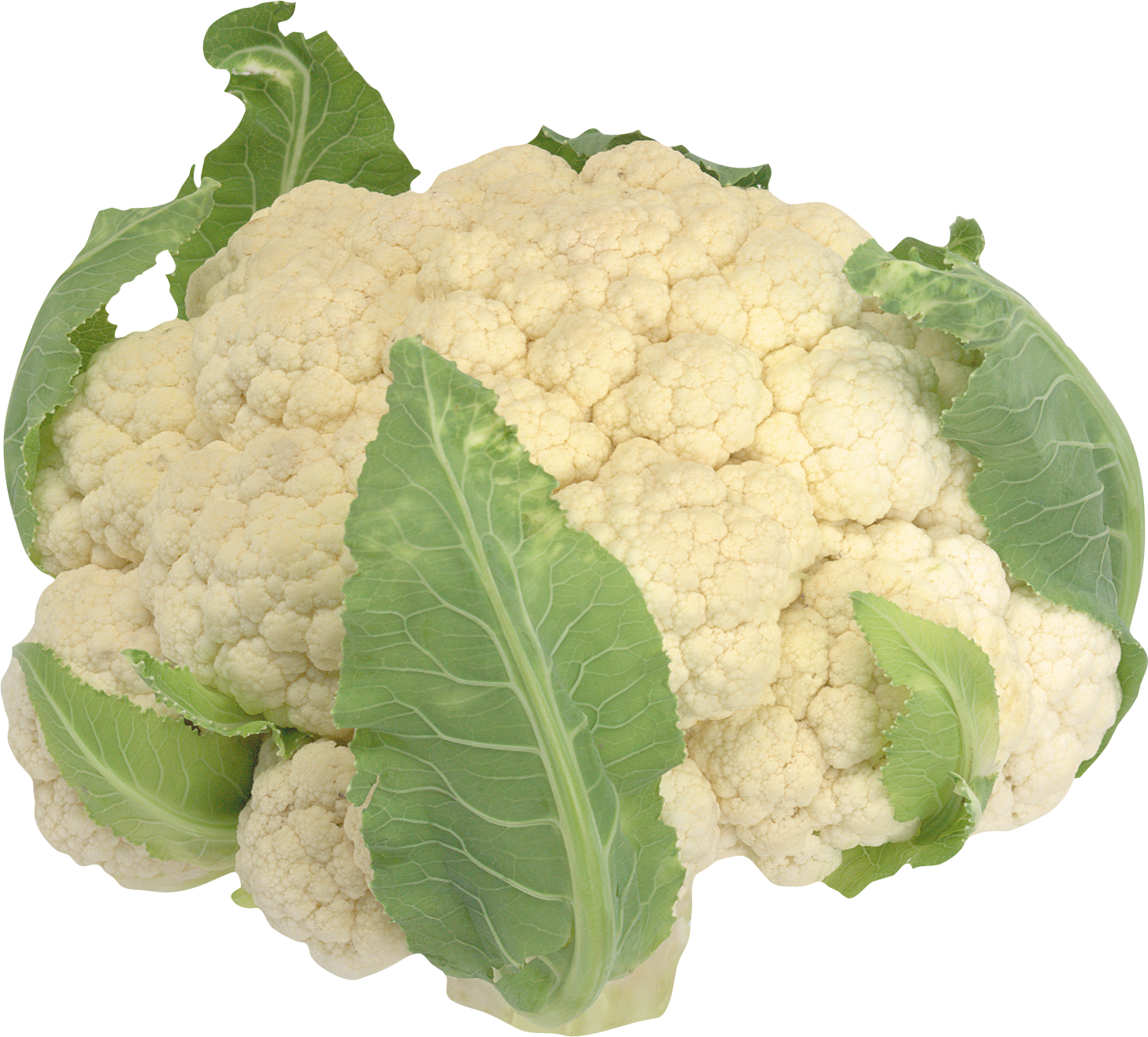 Cauliflower Cliparts (1458x1317), Png Download