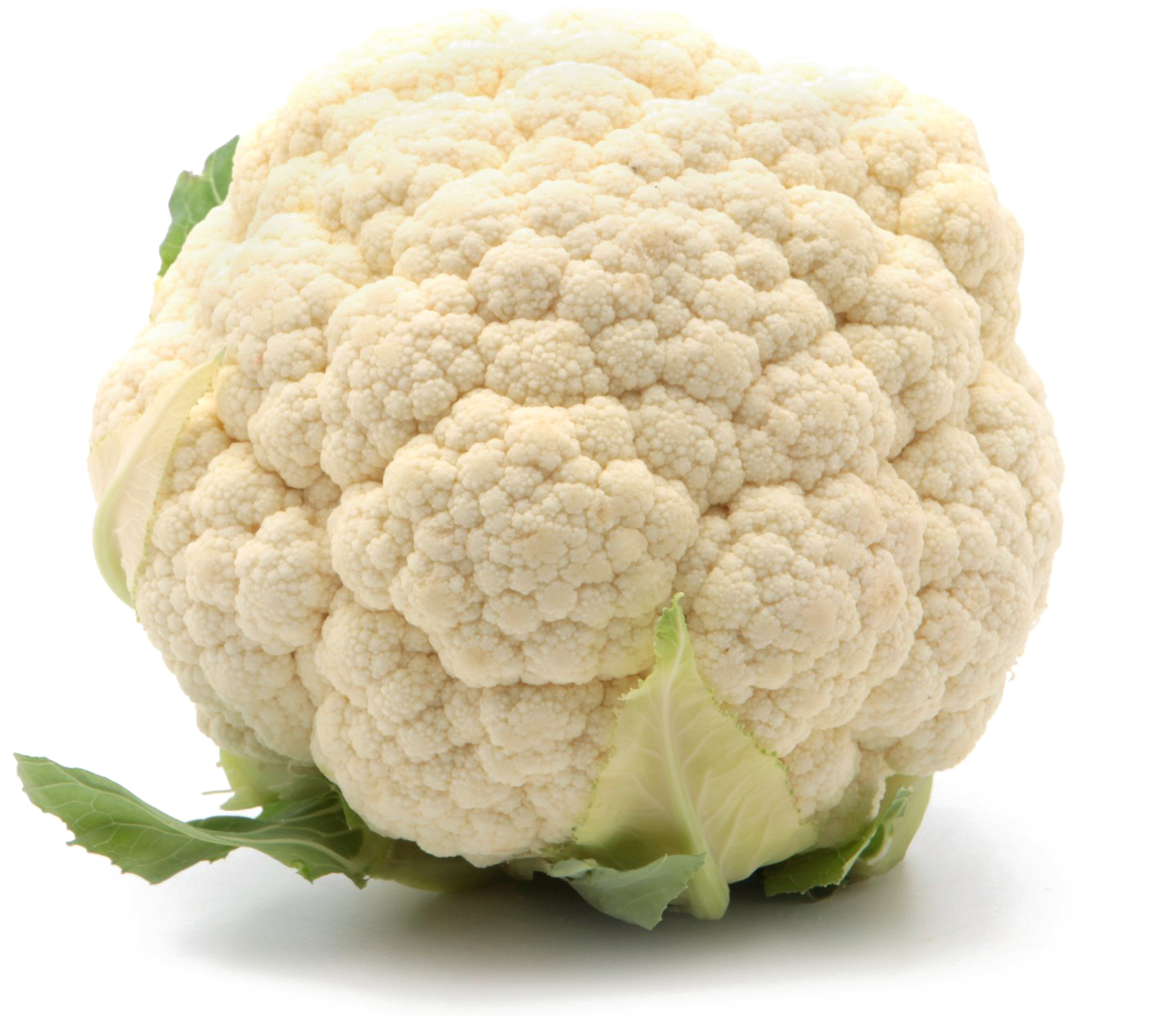 Cauliflower Png Download Image - Cauliflower Jpg (1686x1309), Png Download