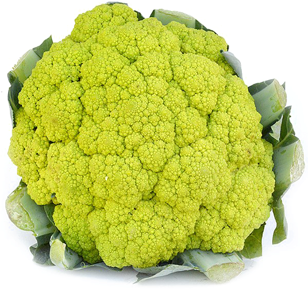 Cauliflower Png Image Transparent - Green Cauliflower (600x600), Png Download