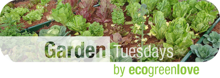 Copy-2tuesdays - 5 Lbs Soil Vigor + Humic Acid (organic) Super Absorbent (760x270), Png Download