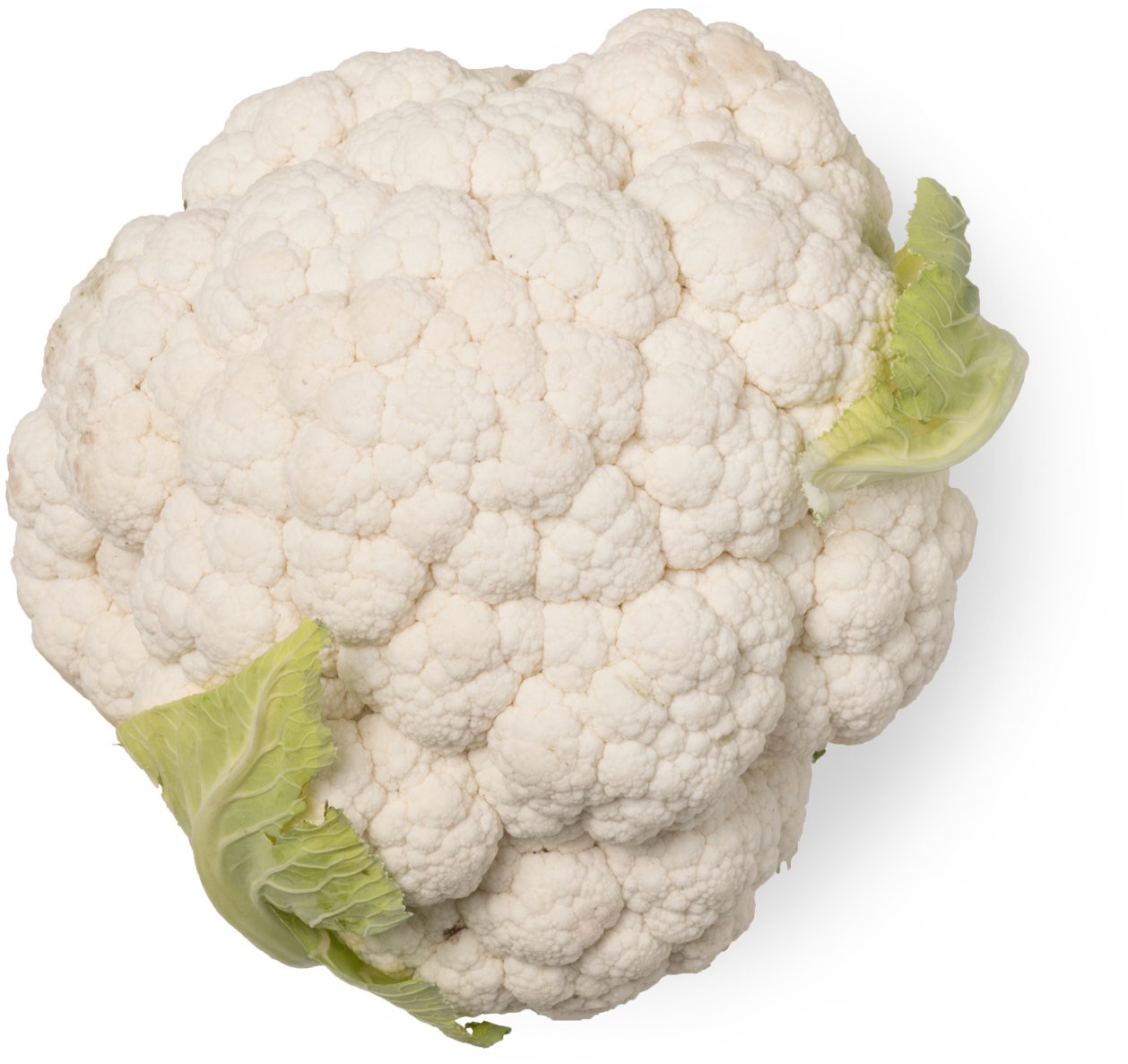 ↓ Data Sheet - Cauliflower (1500x1500), Png Download