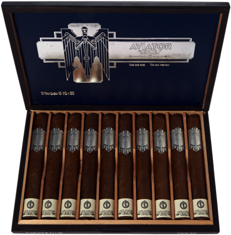 Aviator Vainqueur Open - Portable Network Graphics (500x498), Png Download