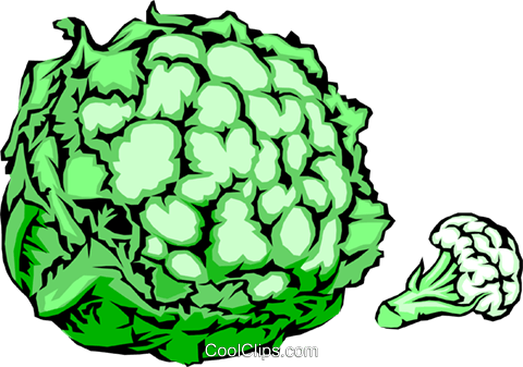 Head Of Cauliflower Royalty Free Vector Clip Art Illustration - Illustration (480x337), Png Download