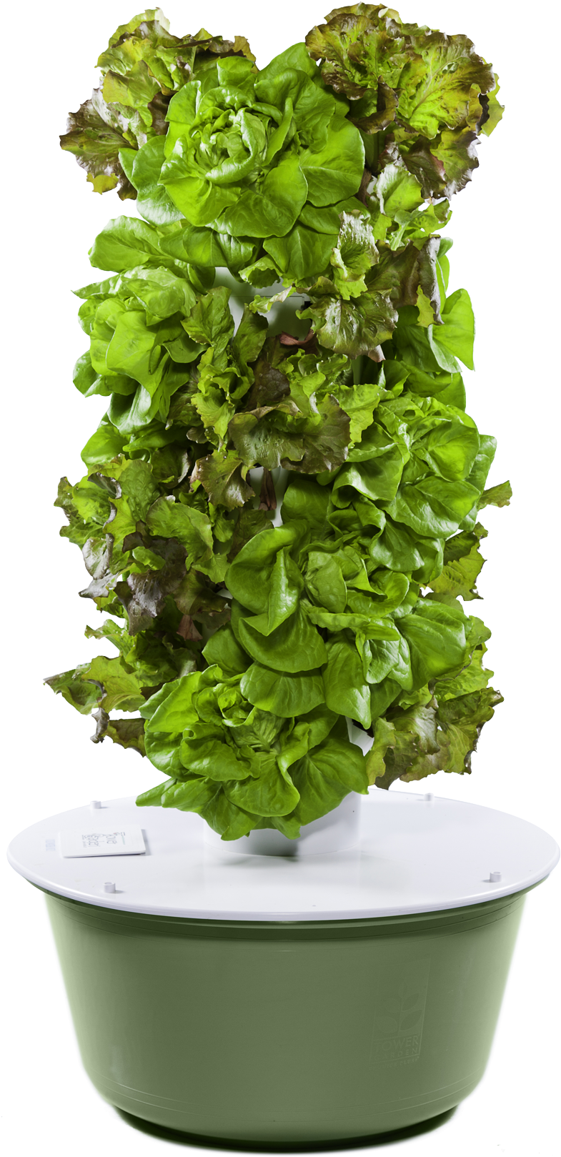 Jliba - Towergarden - Com - Tower Garden Png (855x1771), Png Download