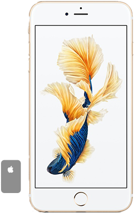 Iphone 6s Plus Back Frame - Refurbished Iphone 6pl 16 Gb Gold (rfbbiph6p16gld) (780x438), Png Download
