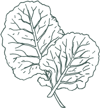 The Backyard Vegetable Garden - Icon (433x433), Png Download