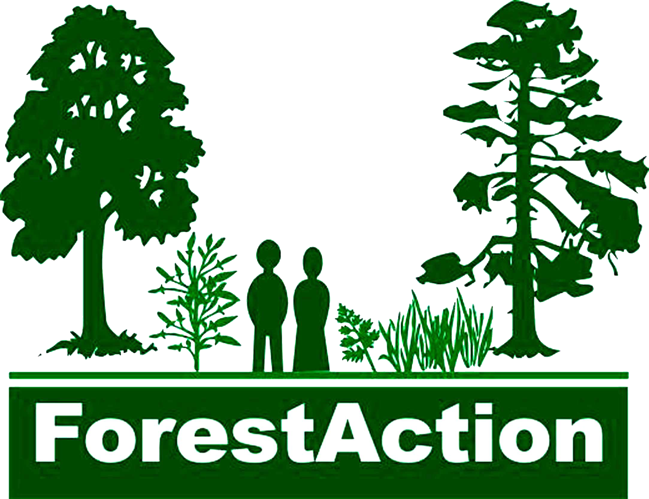 Organization Logo - Sustainable Forest Management Logo (2167x1667), Png Download