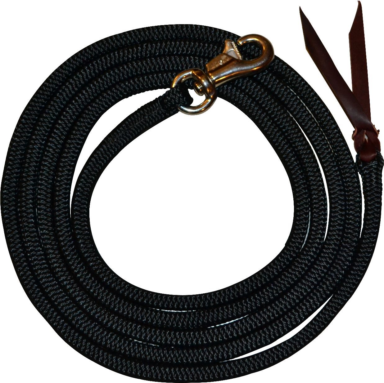 These Ropes Also Have A Leather Popper On The End, - Horse (2304x1536), Png Download