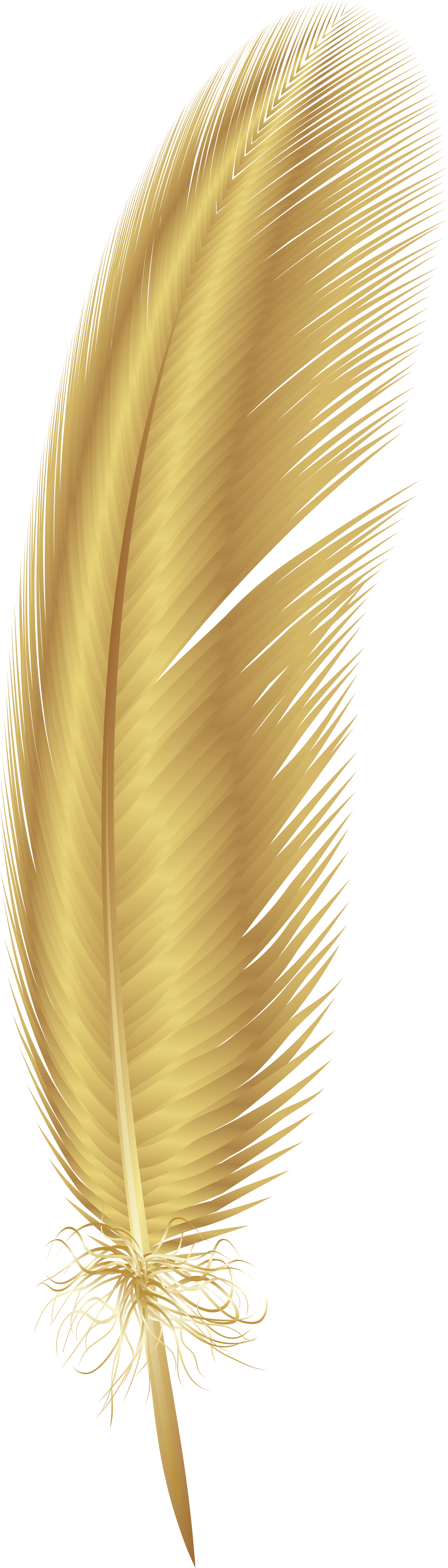 Portable Network Graphics (2339x8000), Png Download