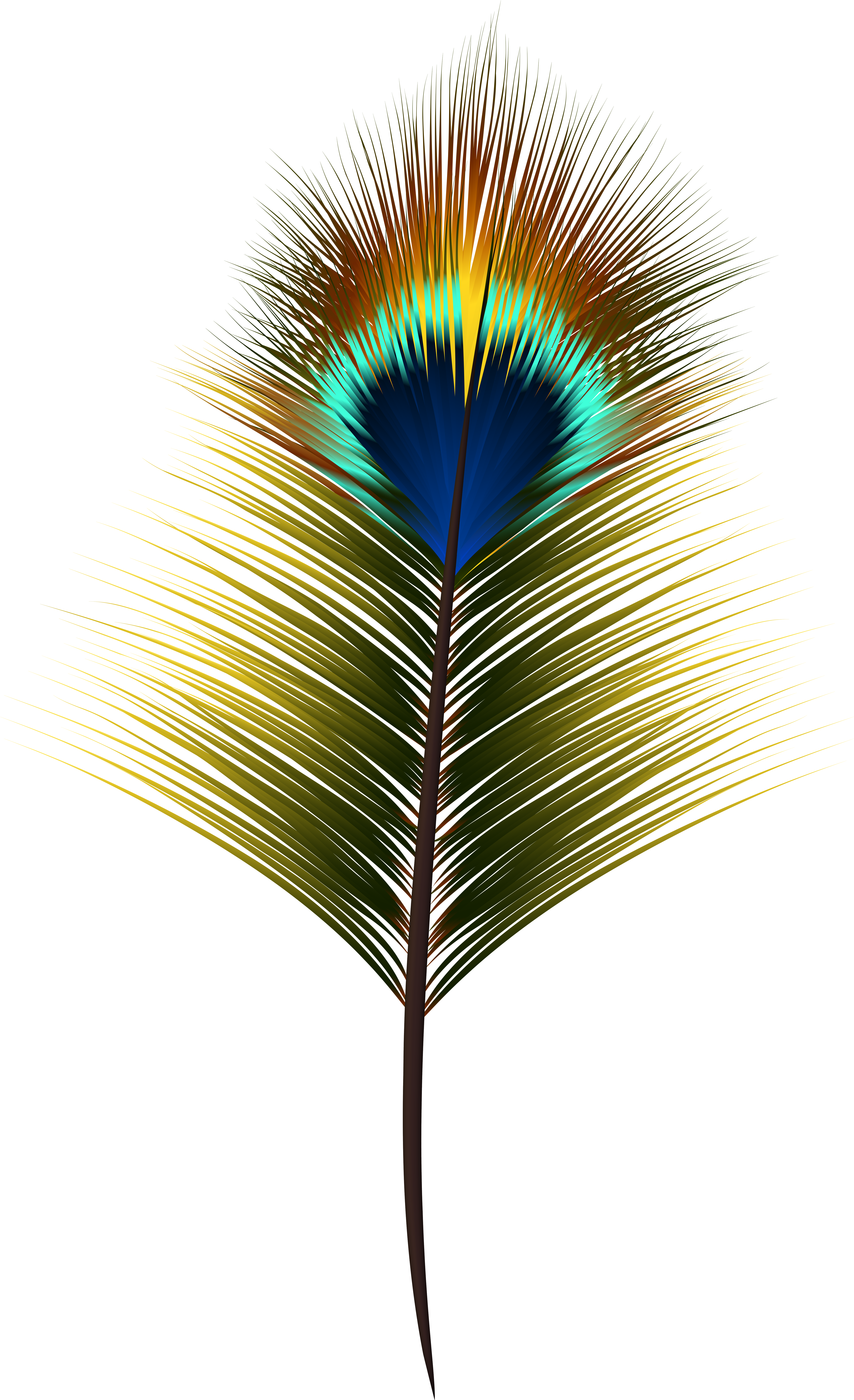 Clip Art (4905x8000), Png Download