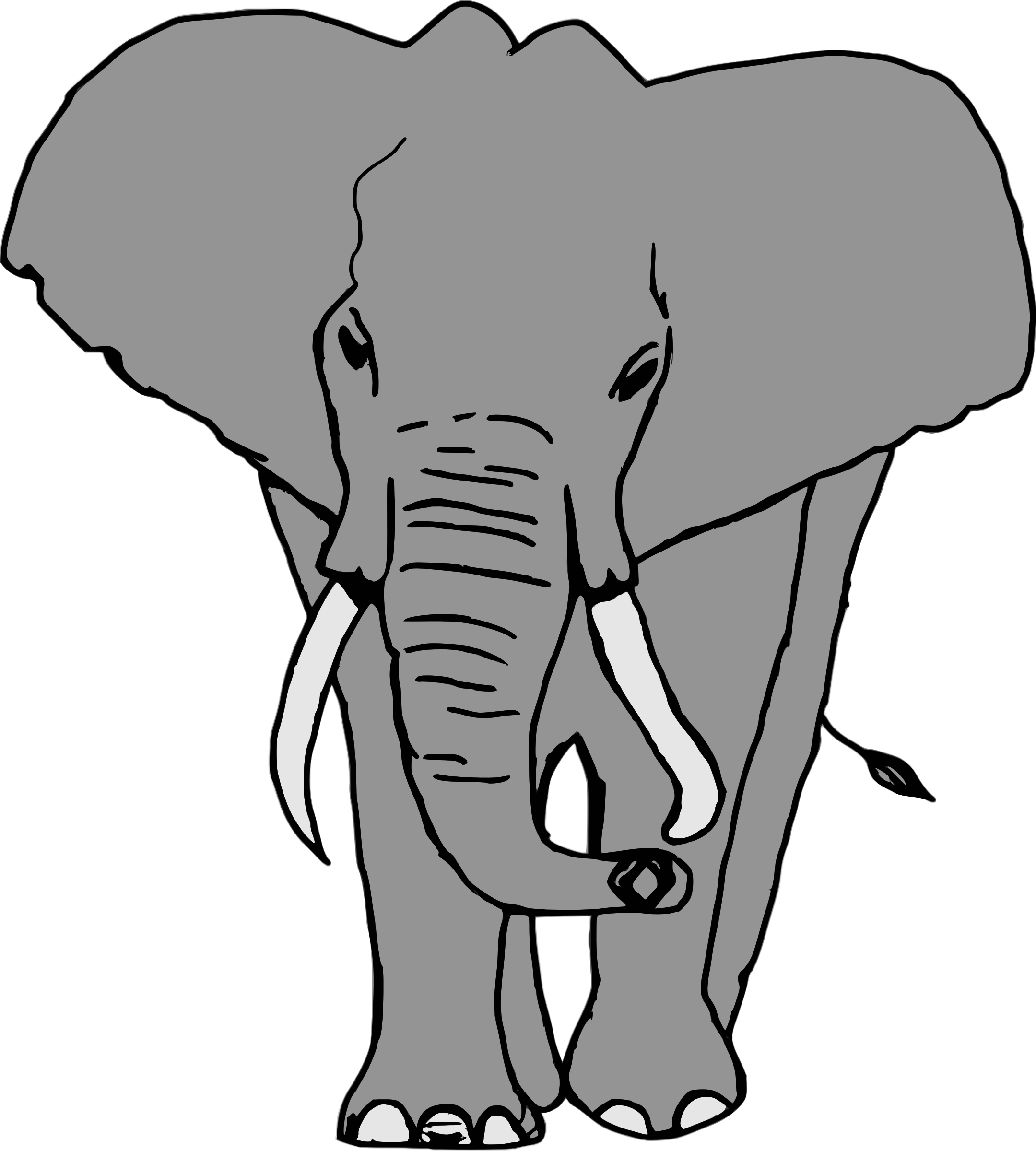 Elefante Png (2160x2400), Png Download