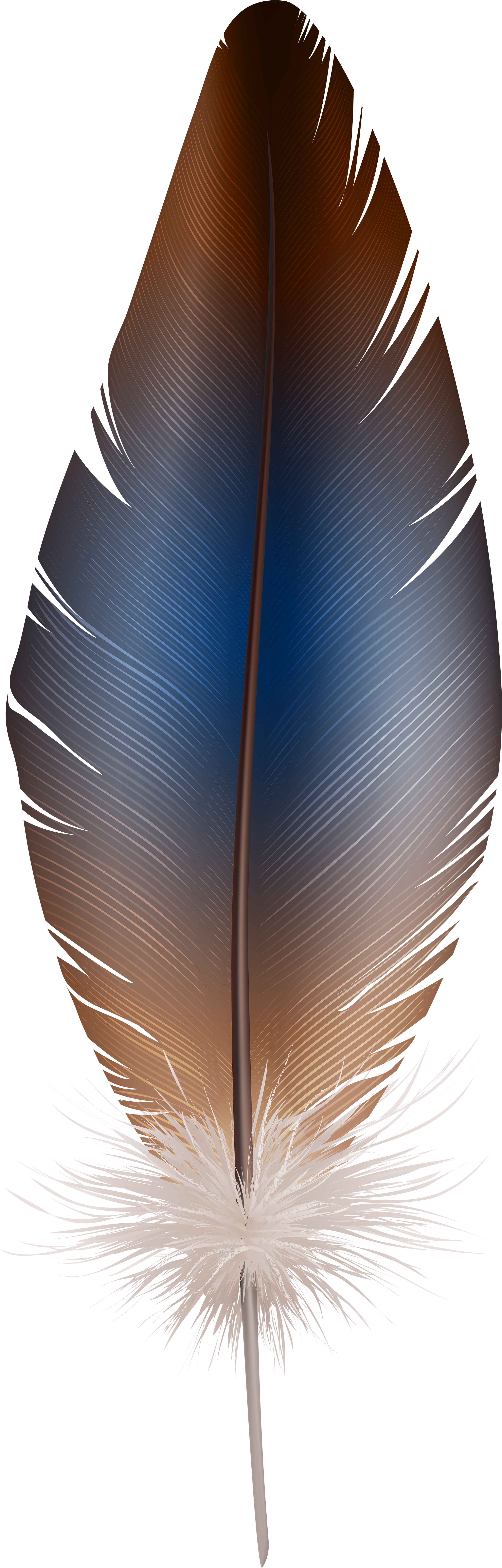 Portable Network Graphics (2661x8000), Png Download