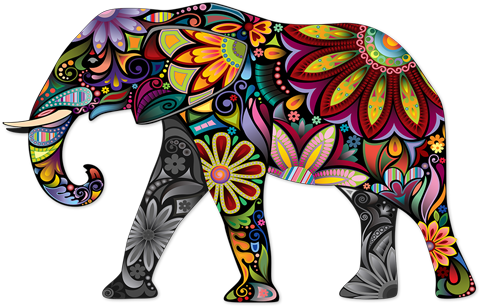 Elefante Hindú - Decorated Indian Elephants Face (490x320), Png Download