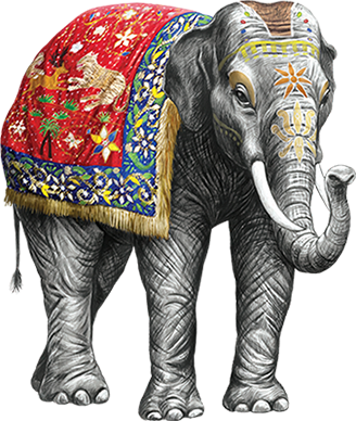 Elephants - Elefante De La India (328x388), Png Download