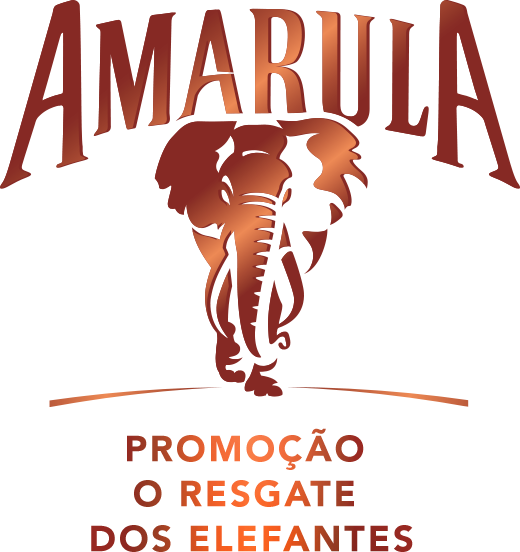 Amarula Logo (520x552), Png Download