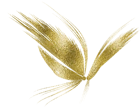 Zoom Diseño Y Fotografia - Mariposa Dorada Png (500x377), Png Download