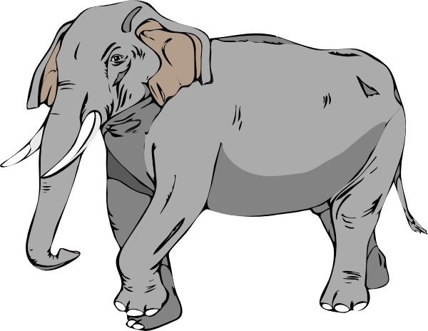Small - Custom African Elephant Shower Curtain (600x464), Png Download