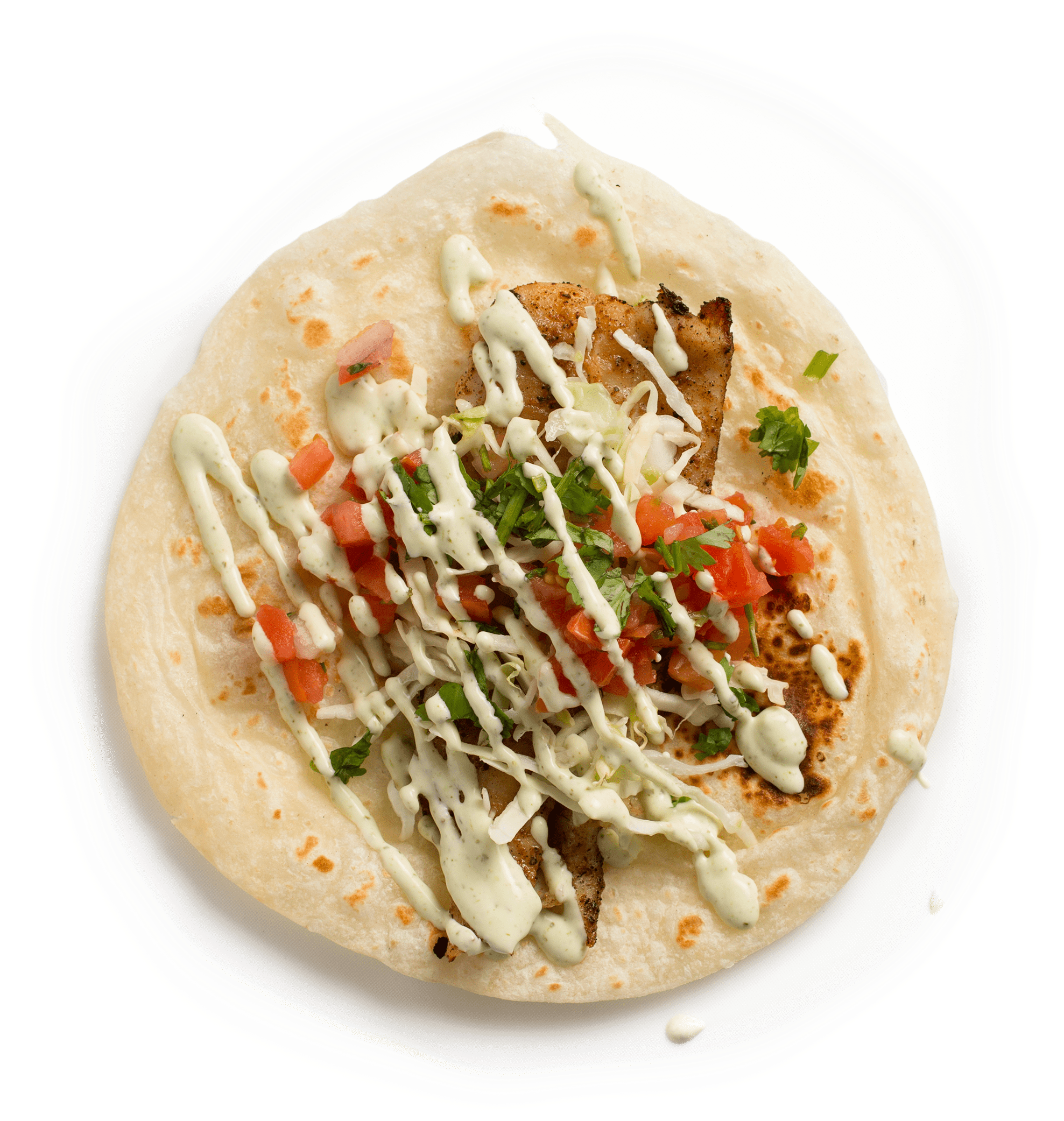 Grilled Shrimp - Roti Top View Png (2023x2088), Png Download