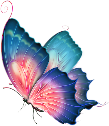 Angel Wings Butterfly Editing Picsart Pretty Www Picturesboss - Beautiful Butterfly Png (443x500), Png Download