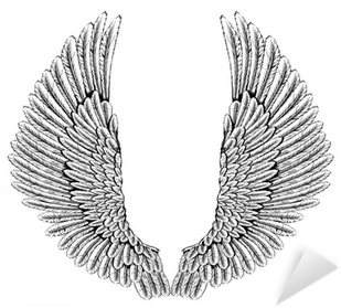 Vinilo Pixerstick Águila O Alas De Ángel • Pixers® - Angel Wings Spread Feather (400x400), Png Download