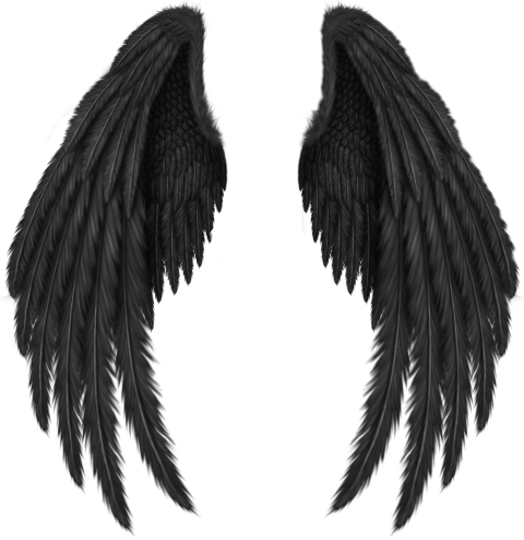Angel Wing Png - Transparent Black Angel Wings (480x494), Png Download