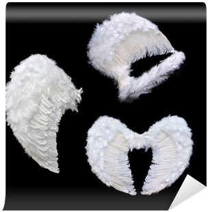 Angel Wing (400x400), Png Download