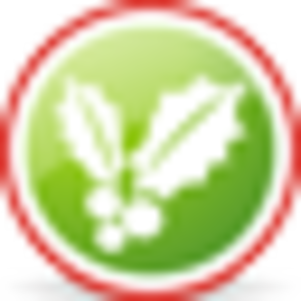 Christmas Mistletoe (600x600), Png Download
