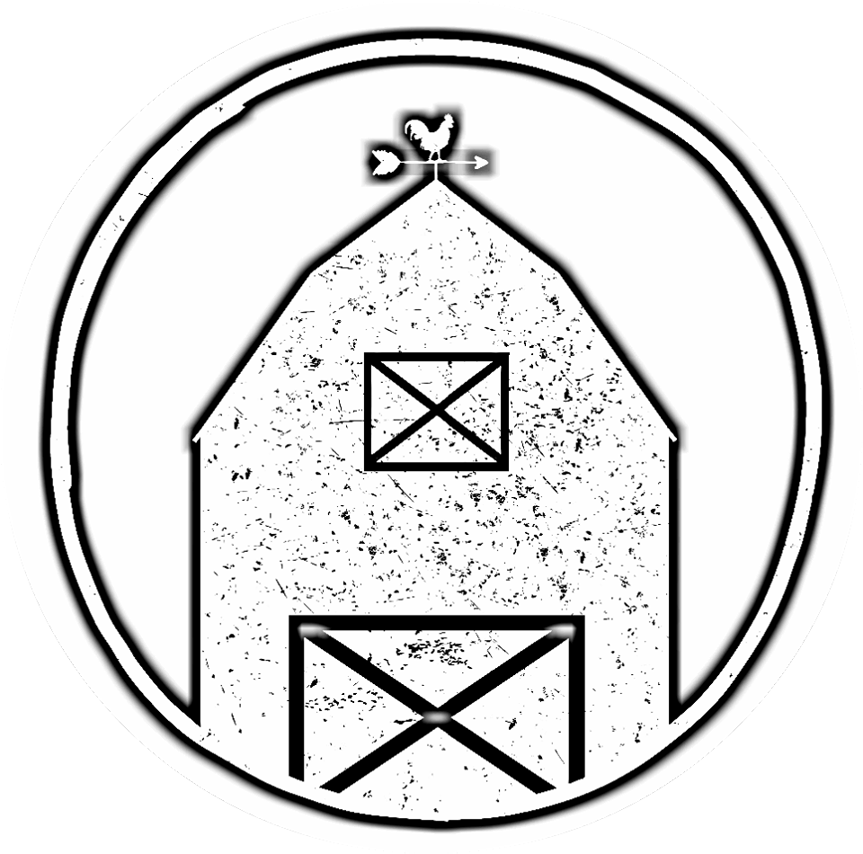 Circle (960x950), Png Download