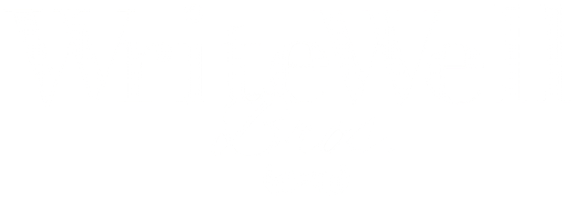 Writewell Bros - Bess: A Pioneer Woman's Journey Of Courage, Grit And (700x323), Png Download