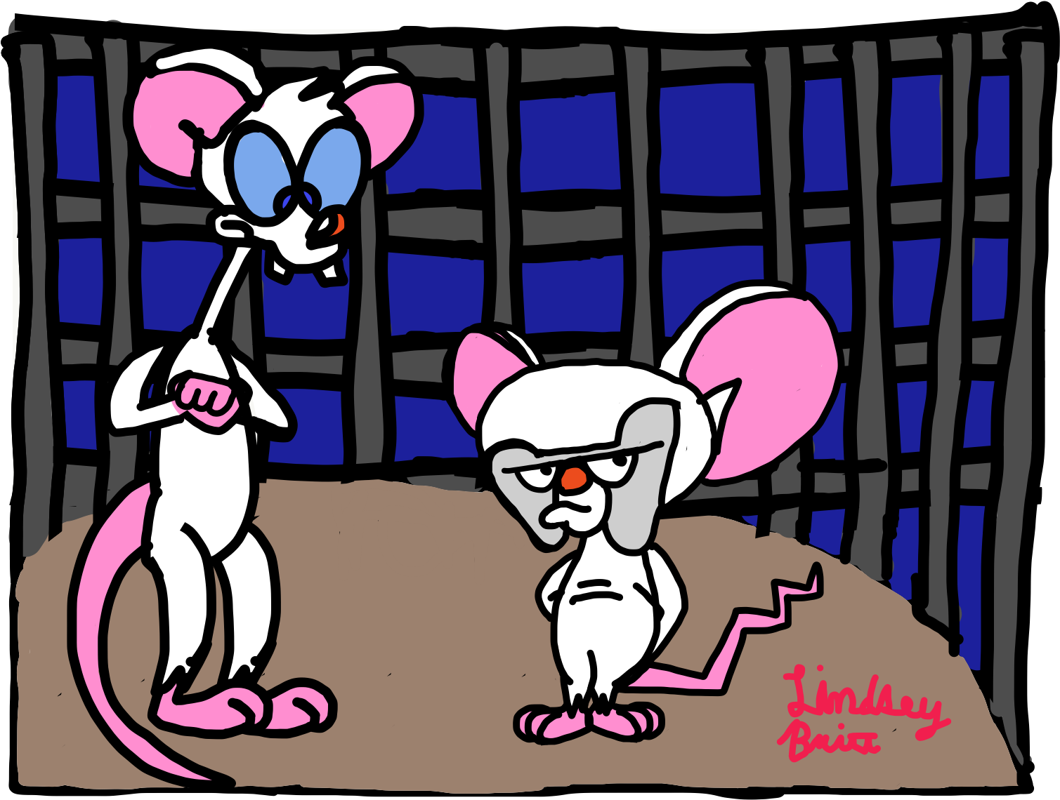 Pinky And The Brain (2048x1536), Png Download
