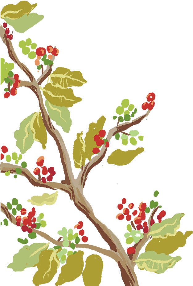X - - Illustration (626x926), Png Download
