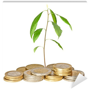 Avocado Seedling Growing From Pile Of Coins Wall Mural - Entrepreneurship: Creating And Leading An Entrepreneurial (400x400), Png Download